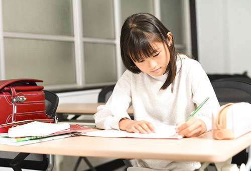 メインの5教科と副教科のサポート